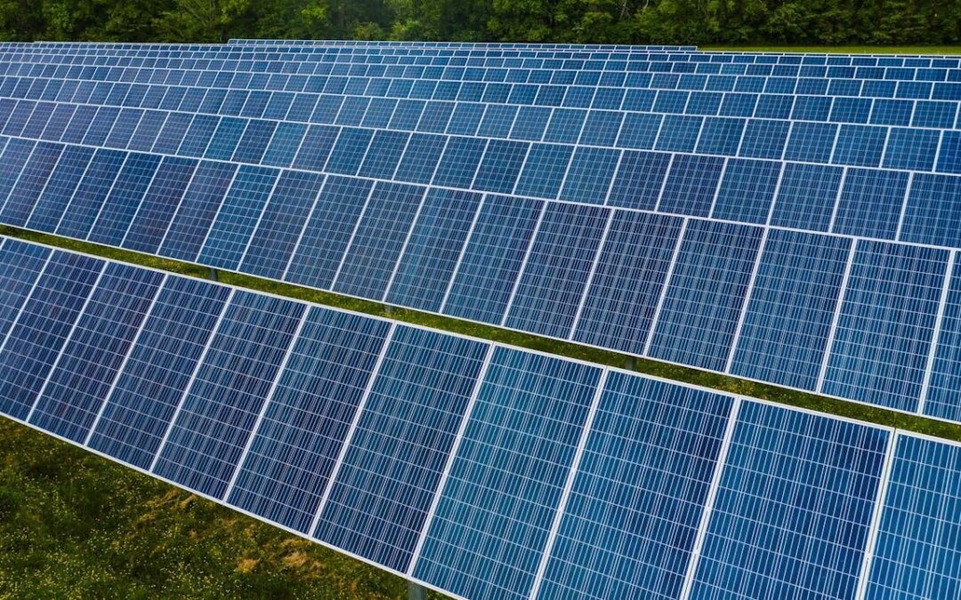 Why Vegetation Management is Crucial for Solar Farm Efficiency