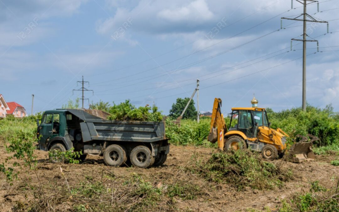 The Role of Right-of-Way Land Clearing in San Antonio, Texas, Utility Infrastructure Safety