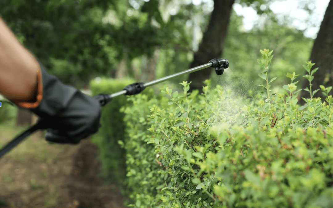 5 Signs It’s Time to Call a Land Clearing Business